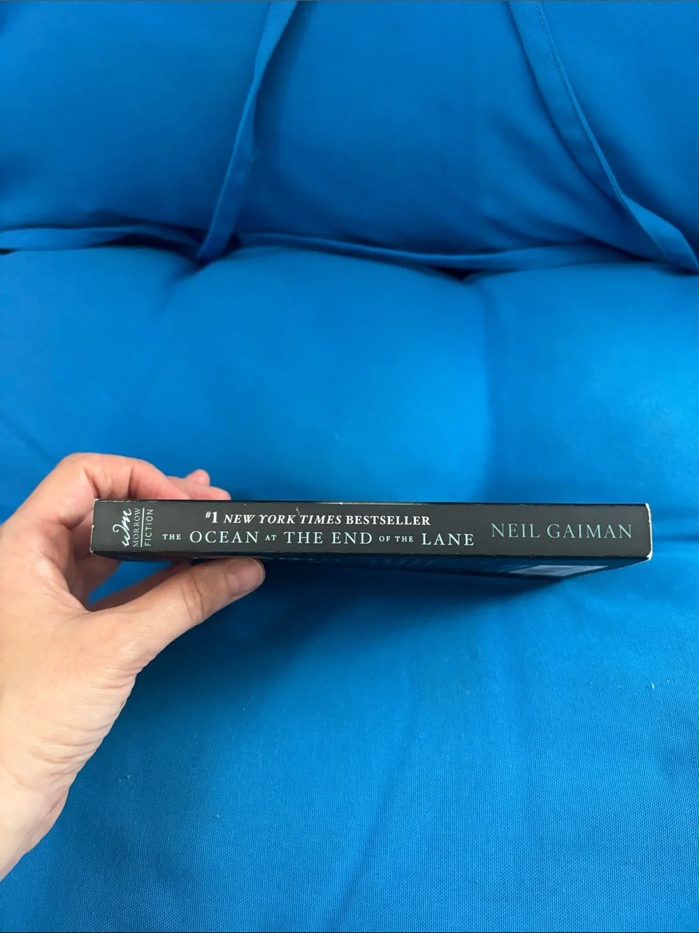 The Ocean At The End Of The Lane By Neil Gaiman Soft Cover NWOTS